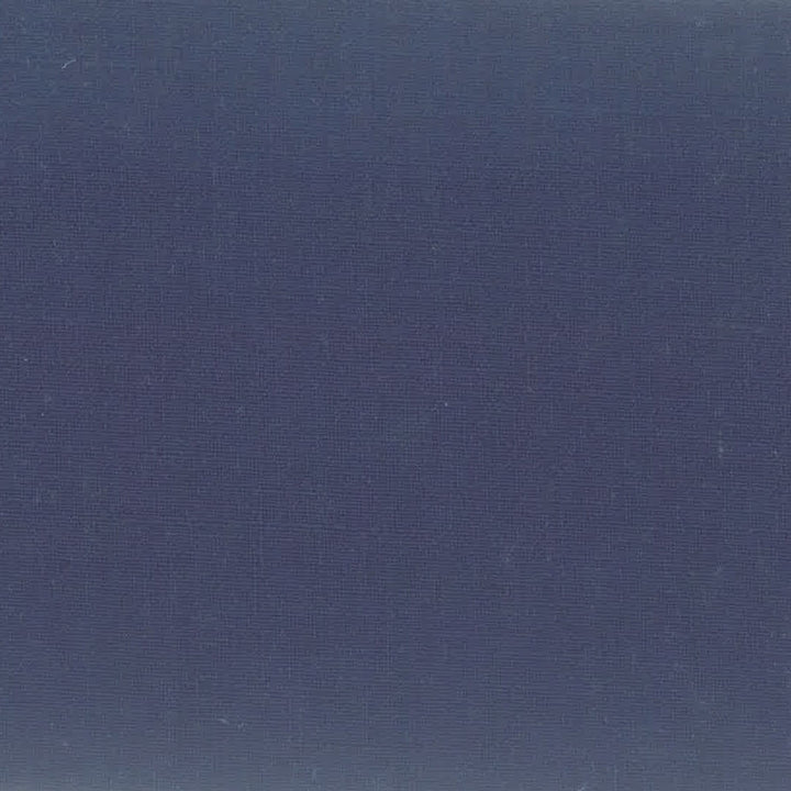 Ample 4 Ocean by Stout Fabric COLOR MY WINDOW BREEZE/INK 75%POL 25%LIN INDIA MARTINDALE WEAR TEST (30 000 CIRCULAR RUBS) Horizontal: 0 and Vertical: 0 55 in - Fabric Carolina -