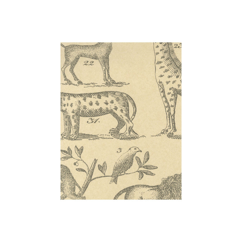 Ark Parchment by Kravet Couture Wallcovering ANDREW MARTIN MUSEUM PAPER - 100% United Kingdom - Horizontal: - and Vertical: 26.5 20.5 - Fabric Carolina -