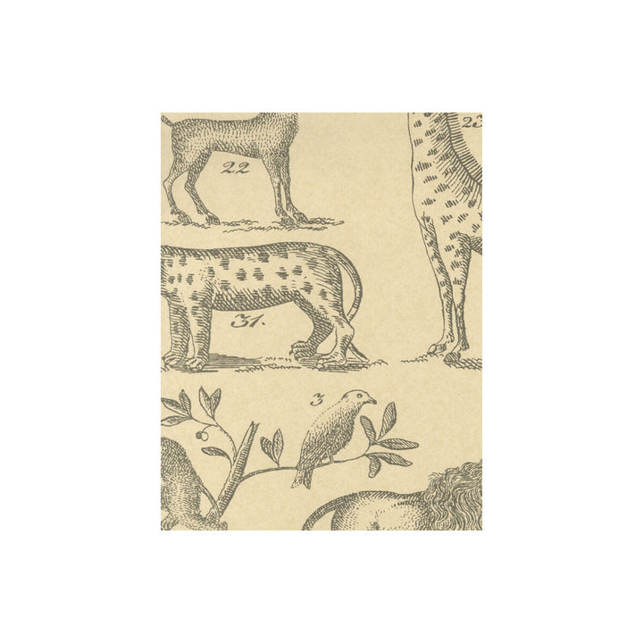 Ark Parchment by Kravet Couture Wallcovering Kravet Couture Wallcovering Ark ParchmentWallcovering ANDREW MARTIN MUSEUM PAPER - 100% United Kingdom </p><p>Repeat: H: , V: 26.5 20.5 - Fabric Carolina -