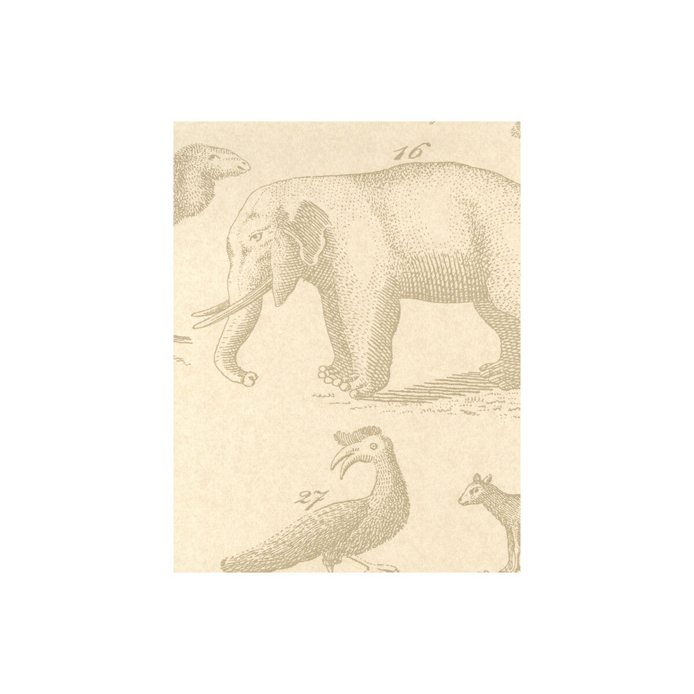 Ark Sand by Kravet Couture Wallcovering ANDREW MARTIN MUSEUM PAPER - 100% United Kingdom Horizontal: and Vertical: 26.5 20.5 - Fabric Carolina -