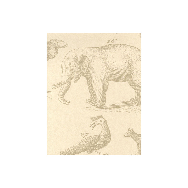 Ark Sand by Kravet Couture Wallcovering ANDREW MARTIN MUSEUM PAPER - 100% United Kingdom - Horizontal: - and Vertical: 26.5 20.5 - Fabric Carolina -