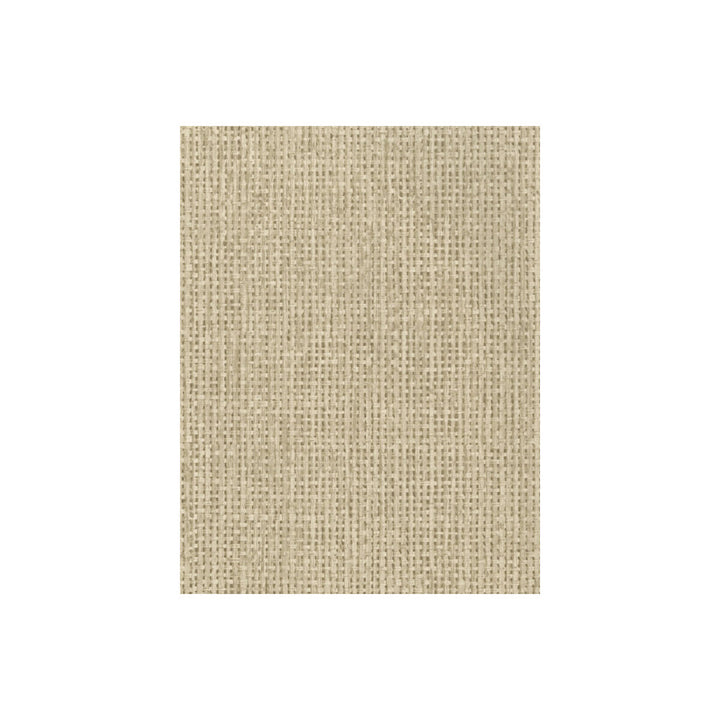 Raffia Taupe by Kravet Couture Wallcovering ANDREW MARTIN MUSEUM PAPER - 100% United Kingdom Horizontal: and Vertical: 20.5 - Fabric Carolina -