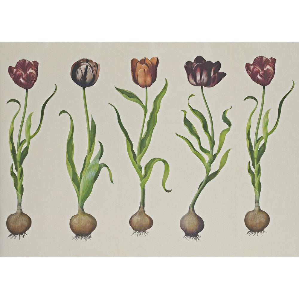 Tulips 310 by Kravet Couture Wallcovering ANDREW MARTIN SCHOLAR WOOD PULP - 45%;BINDER - 20%;MINERAL FILLERS - 20%;POLYESTER - 15% United Kingdom Horizontal: 110.25 and Vertical: 138 110.25 - Fabric Carolina -