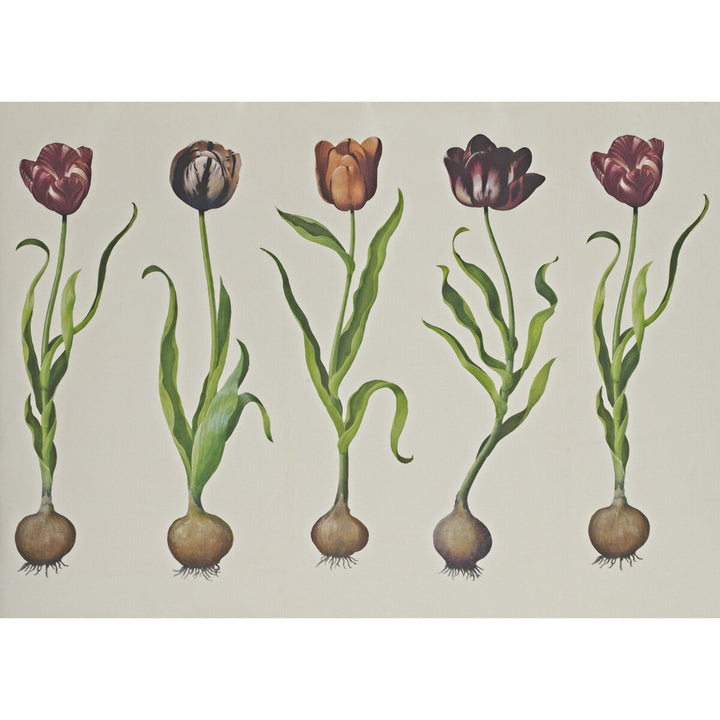Tulips 310 by Kravet Couture Wallcovering ANDREW MARTIN SCHOLAR WOOD PULP - 45%;BINDER - 20%;MINERAL FILLERS - 20%;POLYESTER - 15% United Kingdom - Horizontal: 110.25 and Vertical: 138 110.25 - Fabric Carolina -
