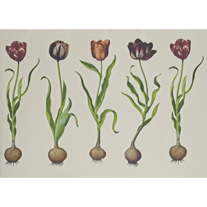 Tulips 310 by Kravet Couture Wallcovering ANDREW MARTIN SCHOLAR WOOD PULP - 45%;BINDER - 20%;MINERAL FILLERS - 20%;POLYESTER - 15% United Kingdom Horizontal: 110.25 and Vertical: 138 110.25 - Fabric Carolina -