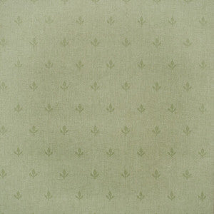 Crocus Leaf AMW10077.3.0 by Kravet Couture Wallcovering