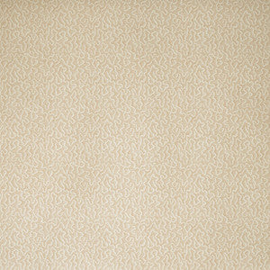 Moss Plaster AMW10079.112.0 by Kravet Couture Wallcovering