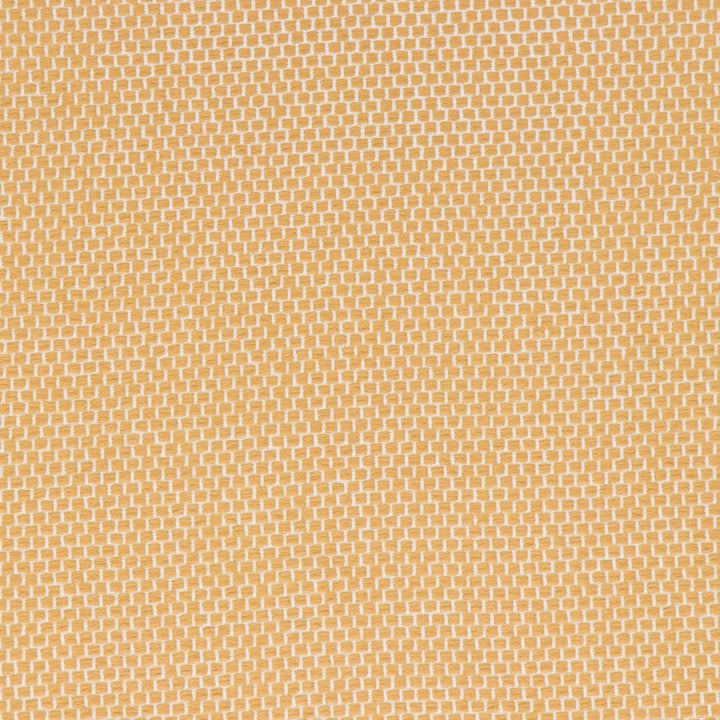 Anafi Goldenrod by Bella-Dura Fabric  100% BELLA DURA POLYOLEFIN USA 70000 H: N/A V: N/A 53.5''  - Fabric Carolina -