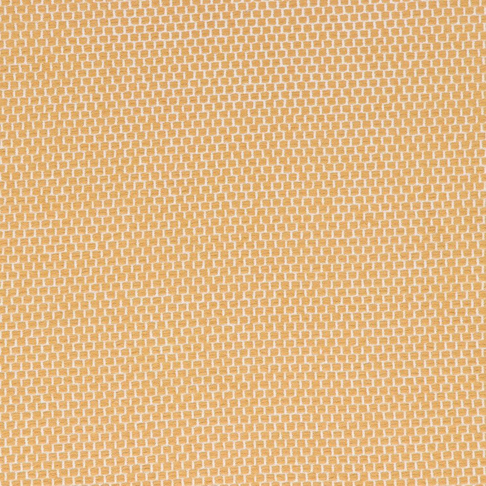 Anafi Goldenrod by Bella-Dura Designer Fabric  100% BELLA DURA POLYOLEFIN USA 70000 H: N/A V: N/A 53.5''  - Swanky Fabrics -
