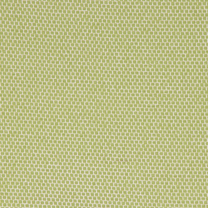 Anafi Meadow by Bella-Dura Fabric  100% BELLA DURA POLYOLEFIN USA 70000 H: N/A V: N/A 53.5''  - Fabric Carolina -