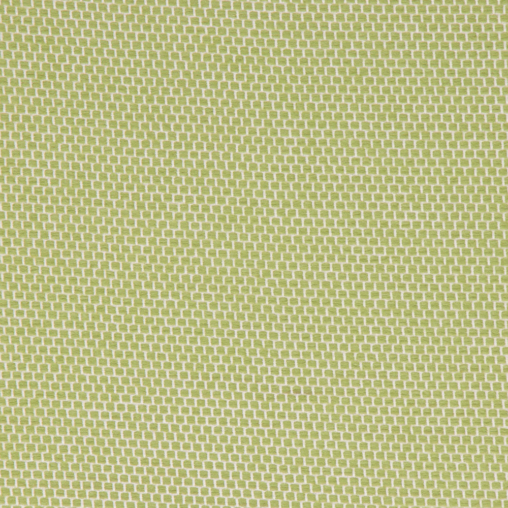 Anafi Meadow by Bella-Dura Fabric  100% BELLA DURA POLYOLEFIN USA 70000 H: N/A V: N/A 53.5''  - Fabric Carolina -