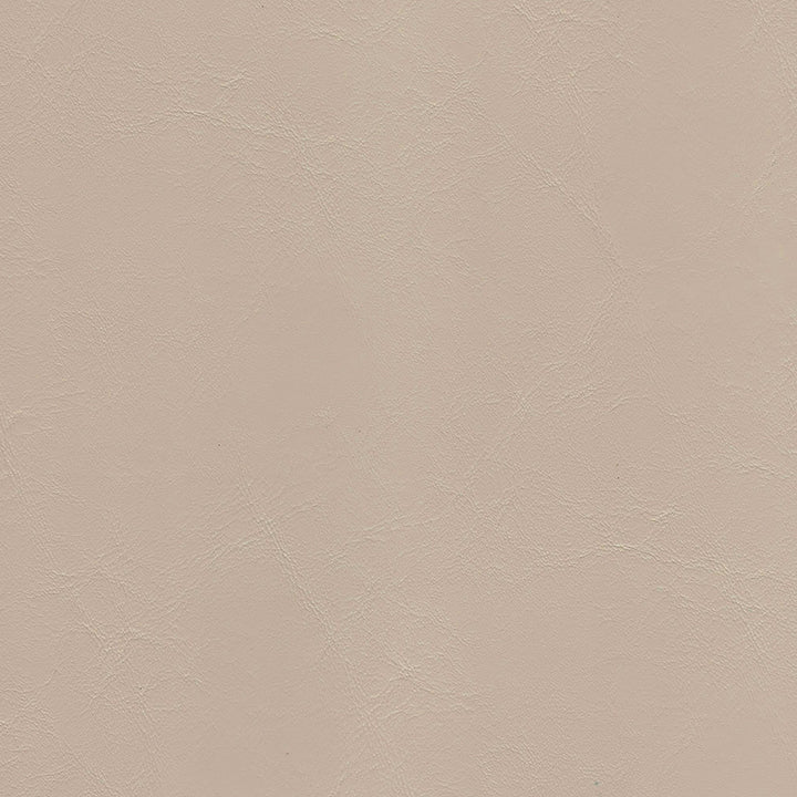 Anchor 1846 Sand Dollar by Softside Fabric 100% Polyvinyl Chloride (PVC) ZZZ 50,000 Double Rubs (Wyzenbeek) </p><p>Repeat: Horizontal: and Vertical: 54 in. (137 cm) - Fabric Carolina -