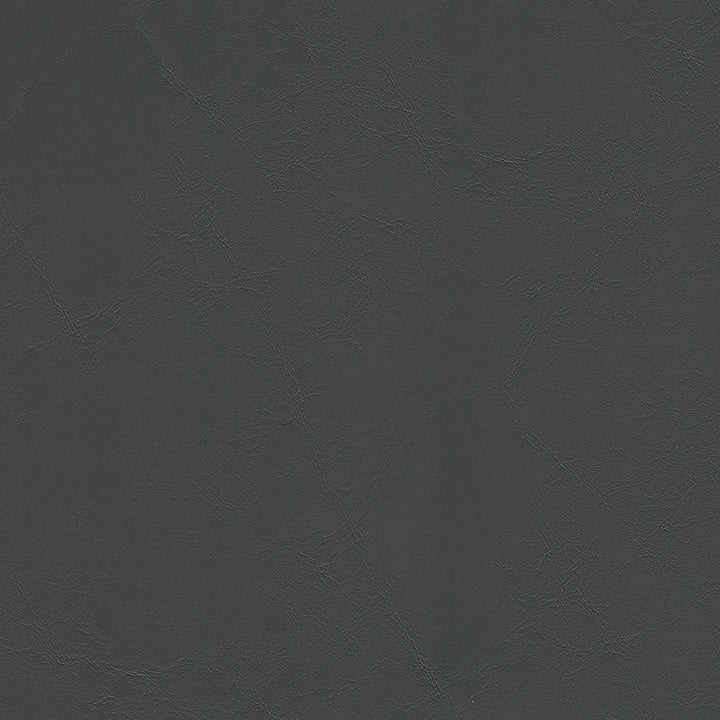 Anchor 1852 Iron by Softside Fabric 100% Polyvinyl Chloride (PVC) ZZZ 50,000 Double Rubs (Wyzenbeek) </p><p>Repeat: Horizontal: and Vertical: 54 in. (137 cm) - Fabric Carolina -