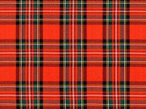 Anct Stewart 31 Red by Covington Fabric