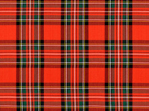 Anct Stewart 31 Red by Covington Fabric