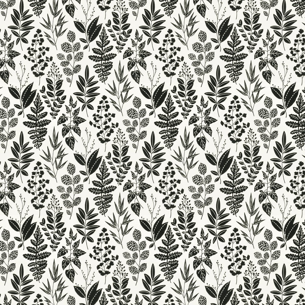 Annual 1 Raven by Stout Fabric RAINBOW LIBRARY FOG/COAL 100%COT SPAIN PERFORMANCE RATED FABRIC FLAME RETARDANT-U.F.A.C. CLASS 1 CATB 117-2013 WYZENBEEK 51 000 DOUBLE RUB WEAR TEST (HEAVY DUTY) Horizontal: 13.500 and Vertical: 27.000 54 in - Fabric Carolina -