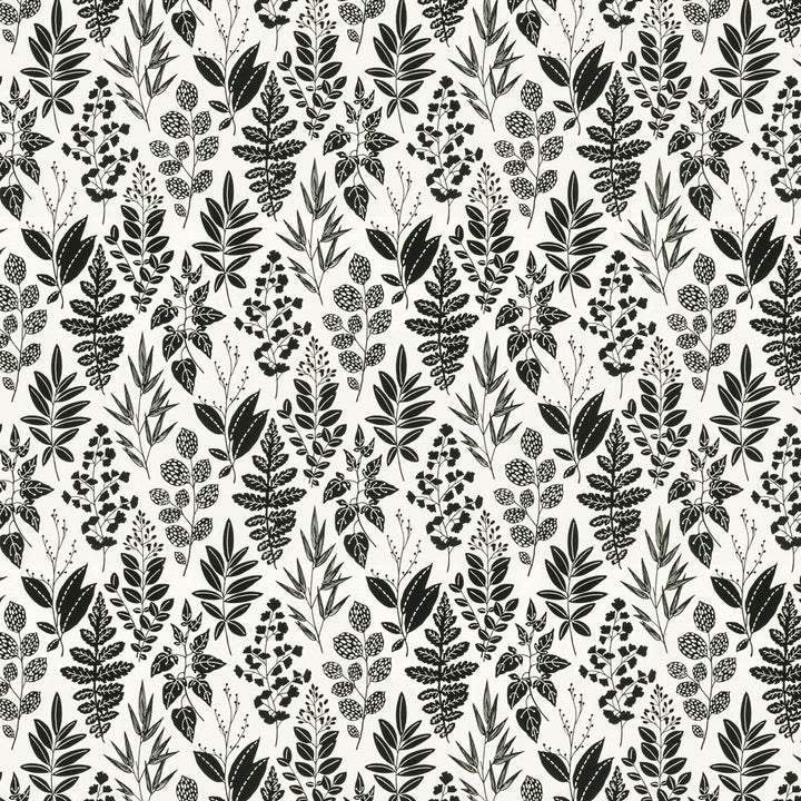 Annual 1 Raven by Stout Fabric Stout Fabric Annual 1 RavenFabric RAINBOW LIBRARY FOG/COAL 100%COT SPAIN </p><p>Repeat: H: 13.500, V: 27.000 54 in - Fabric Carolina -