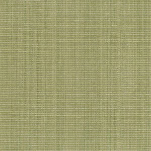 Anvil Lime by Norbar Fabric