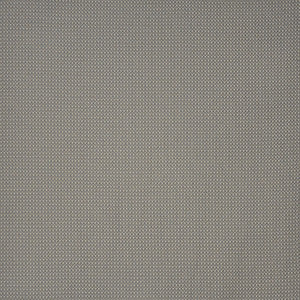 Anchor Watch # 509 Grey Matter by Maxwell Fabric