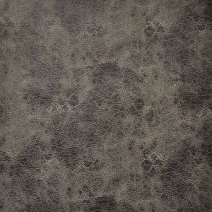 Atacama # 109 Aluminum by Maxwell Fabric