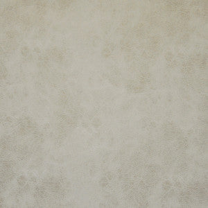 Atacama # 162 Marble by Maxwell Fabric
