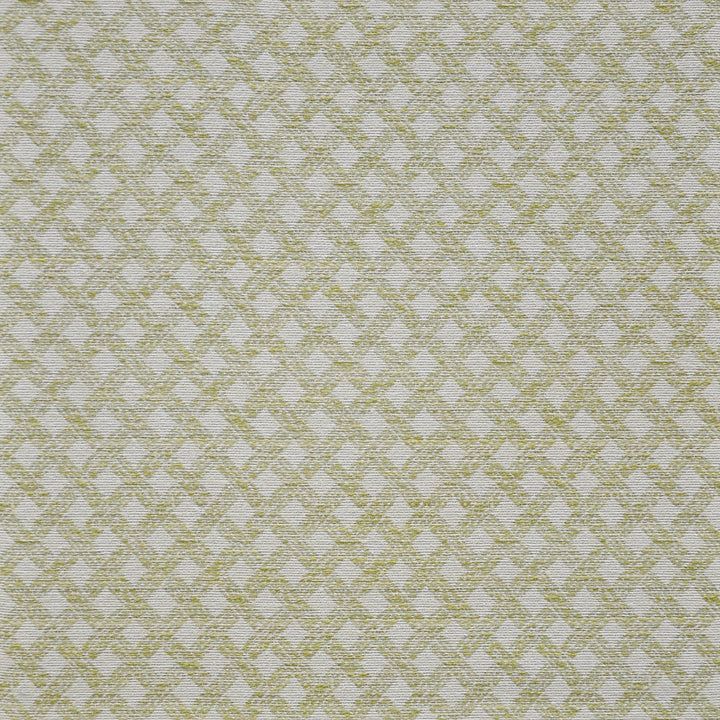 Arbour # 917 Lime by Maxwell Fabric PERFORMANCE WOVENS-VOL.III PALM BEACH 38% POLYESTER/33% RAYON
18% OLEFIN/11% UPCYCLED COTTON USA See sample </p><p>Repeat: Horizontal: 3.4" and Vertical: 3.8" 54" - Fabric Carolina -
