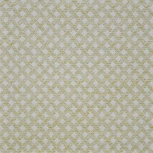 Arbour # 917 Lime by Maxwell Fabric