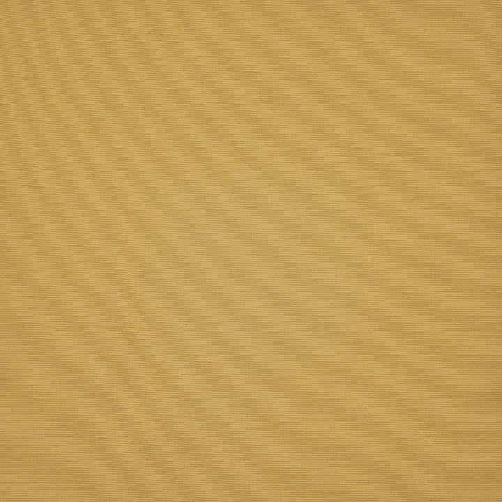 Apollonia # 538 Tuscany by Maxwell Fabric Pure & Simple Xii 100% POLYESTER INDIA 54" - Fabric Carolina -