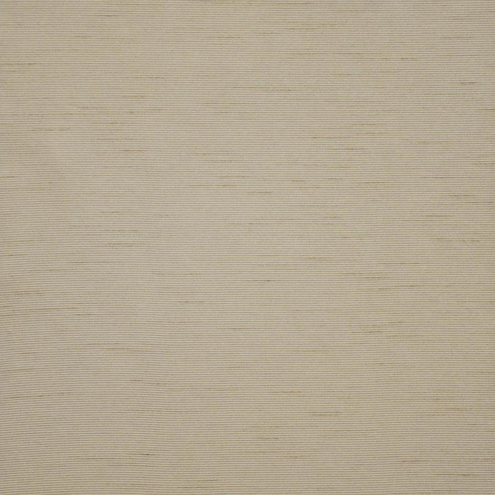 Apollonia # 561 Almond by Maxwell Fabric Pure & Simple Xii 100% POLYESTER INDIA 54" - Fabric Carolina -