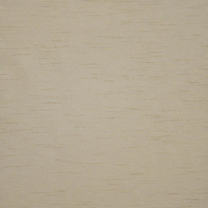 Apollonia # 561 Almond by Maxwell Designer Fabric Pure & Simple Xii 100% POLYESTER INDIA 54" - Swanky Fabrics -