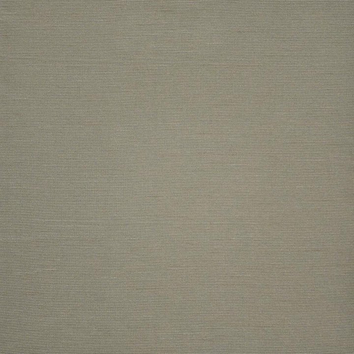 Apollonia # 576 Ivy by Maxwell Designer Fabric Pure & Simple Xii 100% POLYESTER INDIA 54" - Swanky Fabrics -