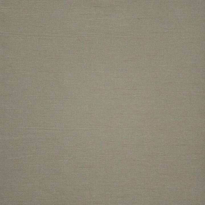 Apollonia # 576 Ivy by Maxwell Fabric Pure & Simple Xii 100% POLYESTER INDIA 54" - Fabric Carolina -