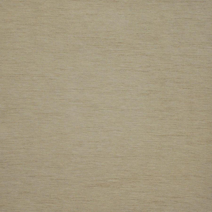 Asolo # 568 Linen by Maxwell Fabric Pure & Simple Xii 100% POLYESTER INDIA 54" - Fabric Carolina -
