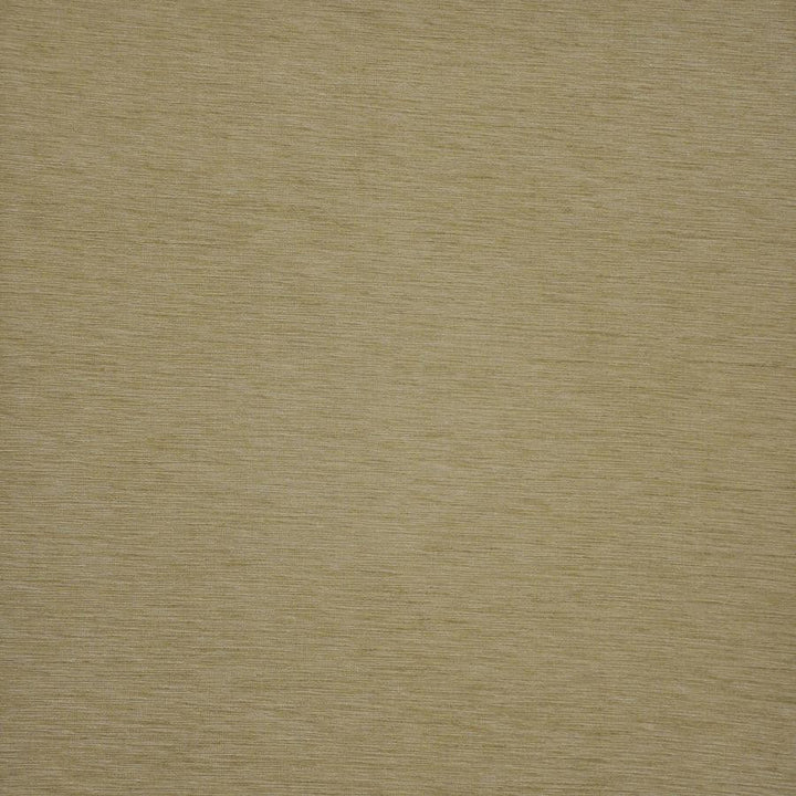 Asolo # 572 Sesame by Maxwell Fabric Pure & Simple Xii 100% POLYESTER INDIA 54" - Fabric Carolina -