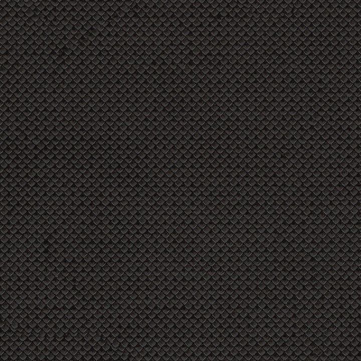 Apex 2548 Raven by Softside Fabric 100% Polyvinyl Chloride (PVC) Columbia 100,000 Double Rubs (Wyzenbeek) </p><p>Repeat: Horizontal: and Vertical: 54" (137 cm) - Fabric Carolina -