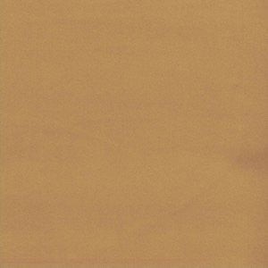 Apollo Canyon 255 by Norbar Fabric See Sample 100% POLYESTER CHINA 48,000 WYZENBEEK 57 - Fabric Carolina -