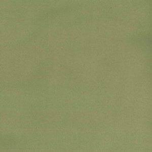 Apollo Kiwi 376 by Norbar Fabric 100% POLYESTER CHINA 48,000 WYZENBEEK </p><p>Repeat: 57 - Fabric Carolina -