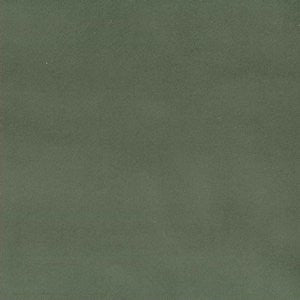Apollo Thyme 348 by Norbar Fabric 100% POLYESTER CHINA 48,000 WYZENBEEK </p><p>Repeat: 57 - Fabric Carolina -