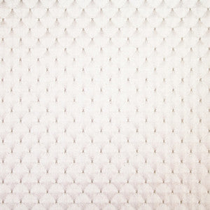 Apopka 11 Eggshell by Marcus William Fabric