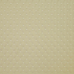 Apopka 28 Pear by Marcus William Fabric