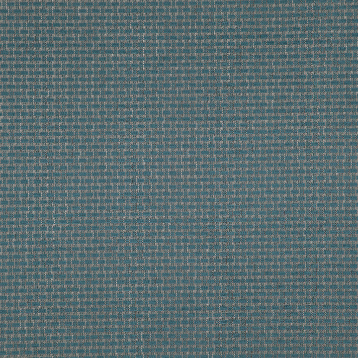 Appeal 67J8321 by JF Fabric Justice Fibrguard 66% Polyester, 33% Acrylic, 1% Viscose Turkey 40000 Horizontal: and Vertical: 56 - Fabric Carolina -
