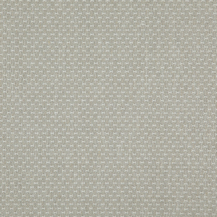 Appeal 92J8321 by JF Fabric Justice Fibrguard 66% Polyester, 33% Acrylic, 1% Viscose Turkey 40000 Horizontal: and Vertical: 56 - Fabric Carolina -