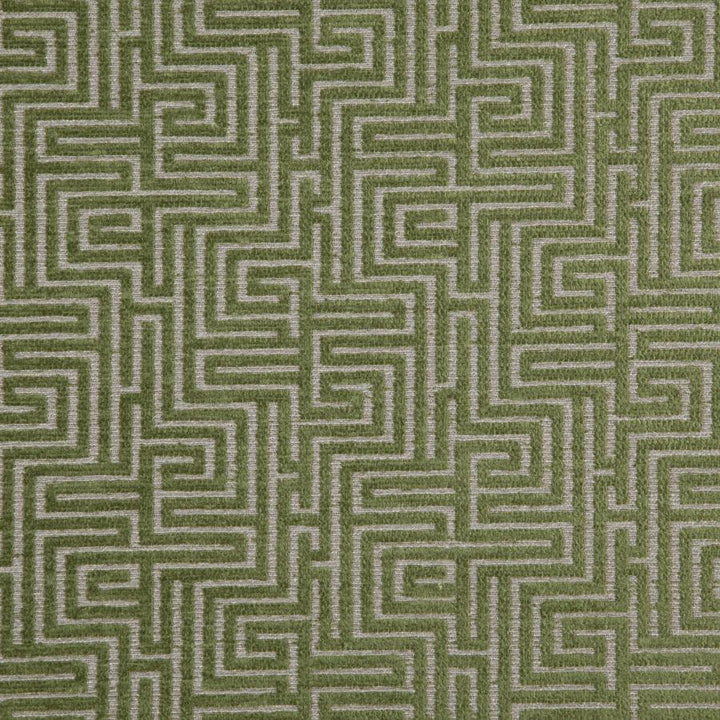 Aerial # 311 Forest by Maxwell Fabric Classic Chenilles 54% ACRYLIC/43% POLYESTER 3% VISCOSE TURKEY V-8.5"H-13.75" 55" - Fabric Carolina -