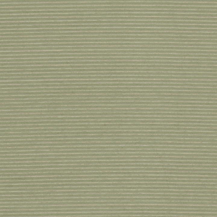 Ardmore 2 Sage by Stout Fabric Stout Fabric Ardmore 2 SageFabric Rainbow Library Celadon/Bottle 83%Svi 17%Pol India </p><p>Repeat: H: 0, V: 4.375 55 in - Fabric Carolina -