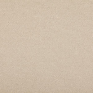 Argentina Snow by Norbar Fabric CALCUTTA 100% POLYESTER CHINA 54 - Fabric Carolina -
