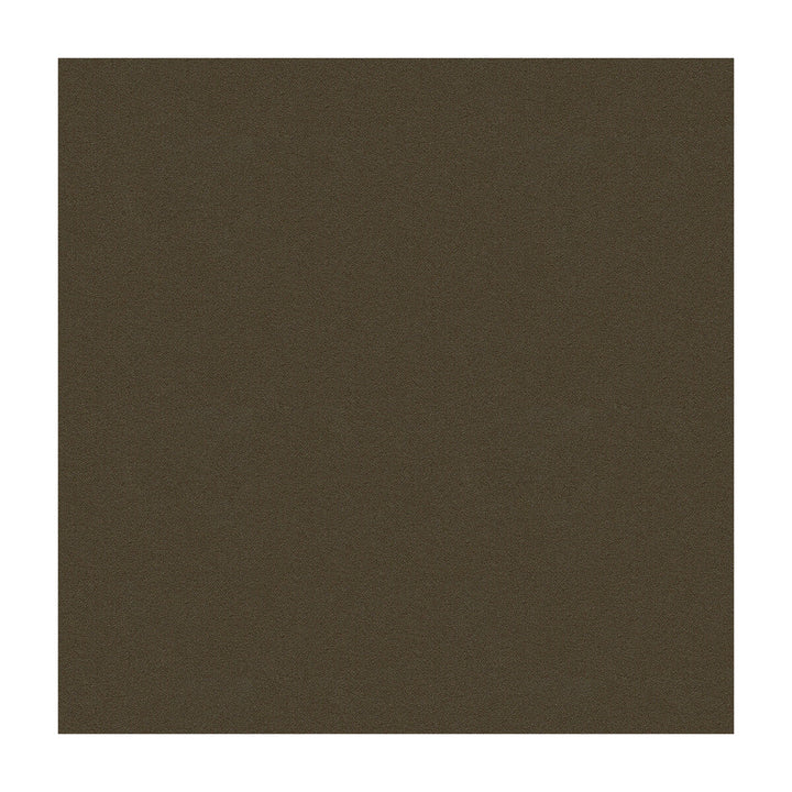 Argento-21 by Kravet Design Designer Fabric ULTRALEATHER PLUS IV POLYURETHANE - 100% Japan HEAVY Horizontal: - and Vertical: - 54 - Swanky Fabrics -