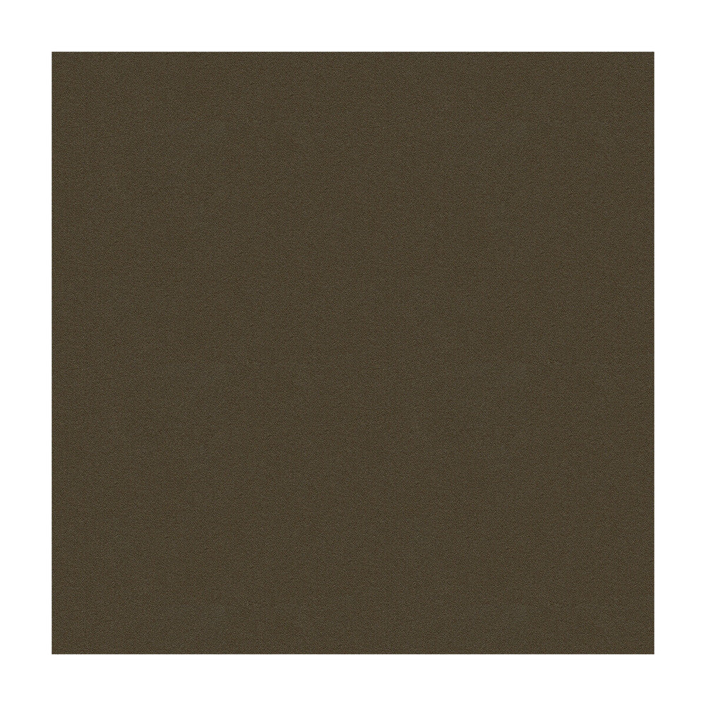 Argento-21 by Kravet Design Fabric ULTRALEATHER PLUS IV POLYURETHANE - 100% Japan HEAVY Horizontal: and Vertical: 54 - Fabric Carolina -
