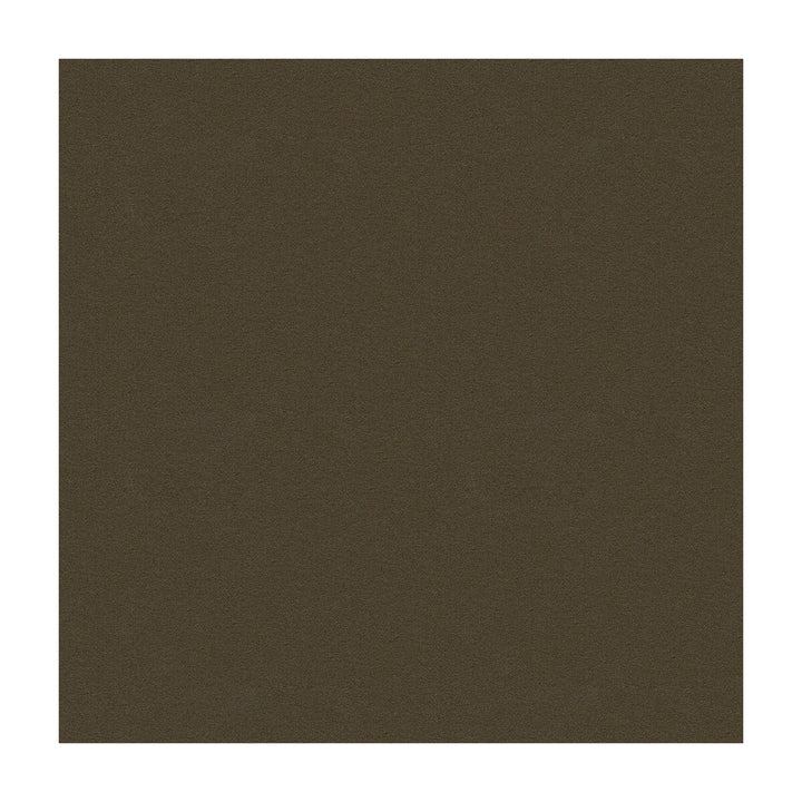 Argento-21 by Kravet Design Fabric ULTRALEATHER PLUS IV POLYURETHANE - 100% Japan HEAVY Horizontal: and Vertical: 54 - Fabric Carolina -
