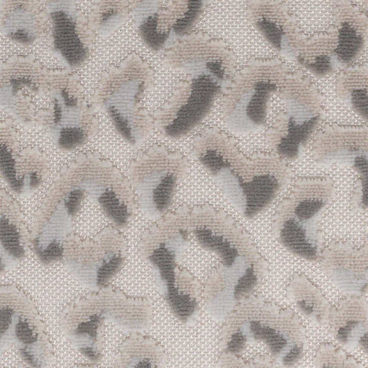 Argus 1 Dove by Stout Fabric Stout Fabric Argus 1 DoveFabric PILED HIGH VELVETS 57%SVI 35%ACR 8%POL BELGIUM </p><p>Repeat: H: 14.000, V: 31.000 55 in - Fabric Carolina -