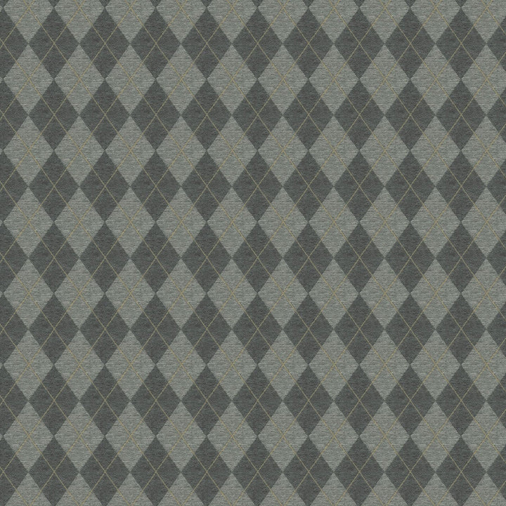 Argyle 1 Slate by Stout Designer Fabric RAINBOW LIBRARY SMOKE/CHARCOAL 100%POL CHINA FLAME RETARDANT-U.F.A.C. CLASS 1 CATB 117-2013 WYZENBEEK 39 000 DOUBLE RUB WEAR TEST (HEAVY DUTY) Horizontal: 1.625 and Vertical: 2.5 55 in - Swanky Fabrics -